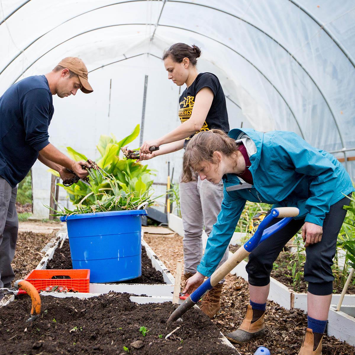 Photo of students working in a greenhouse on Eden Hall Campus