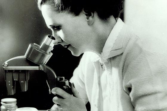 Photo of 瑞秋卡森, in black 和 white, looking through a microscope